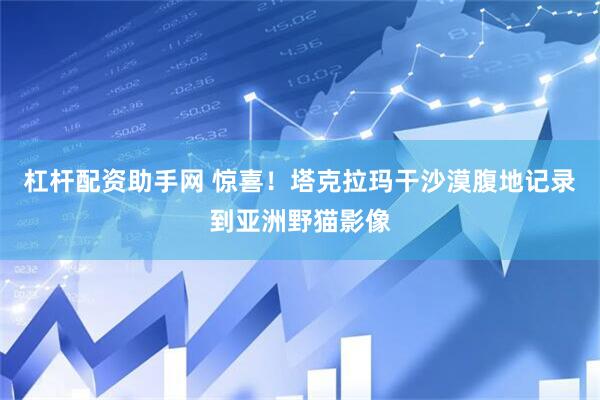 杠杆配资助手网 惊喜！塔克拉玛干沙漠腹地记录到亚洲野猫影像