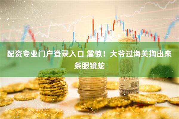 配资专业门户登录入口 震惊！大爷过海关掏出来条眼镜蛇