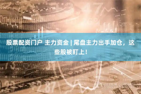 股票配资门户 主力资金 | 尾盘主力出手加仓，这些股被盯上！